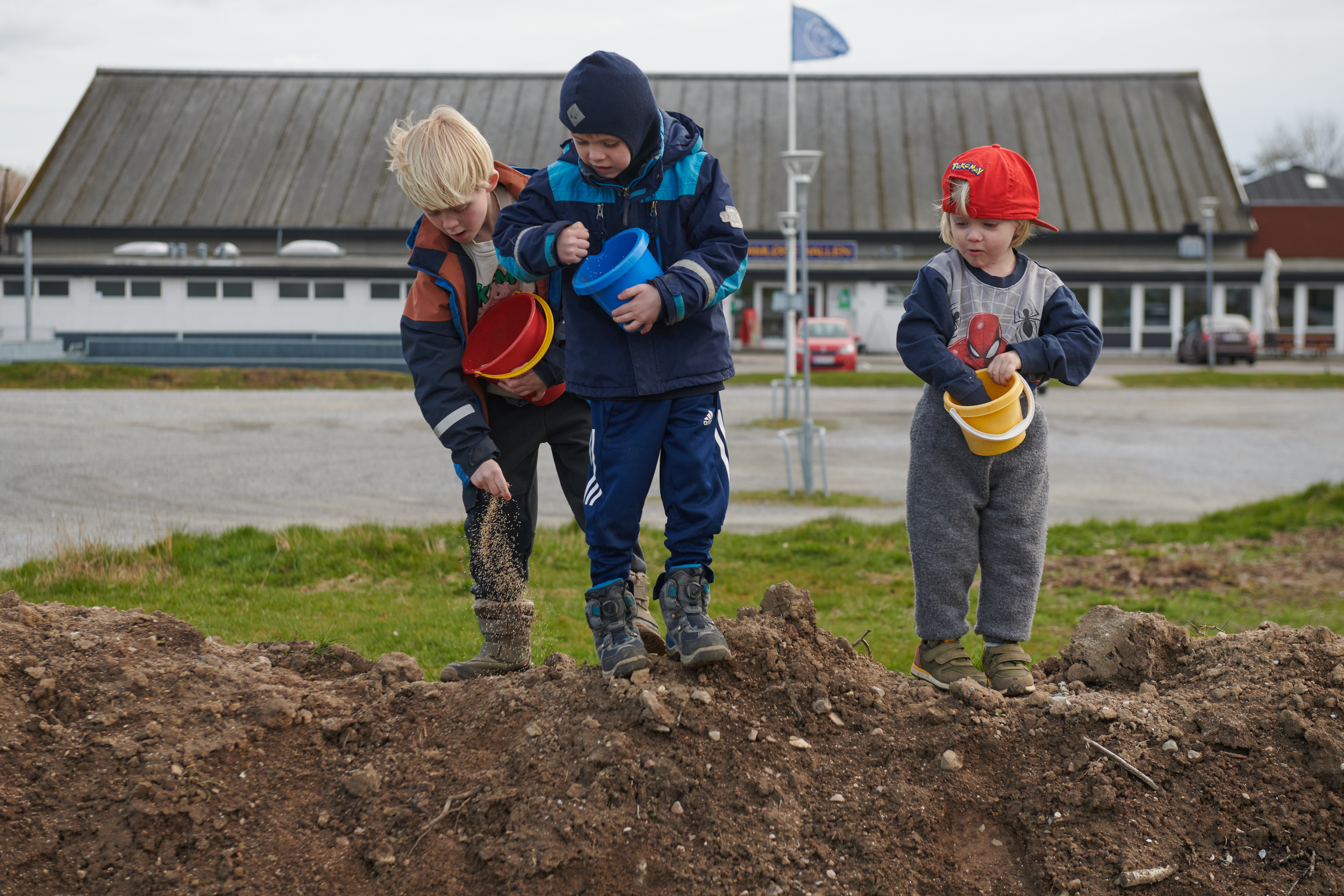 Tilplantning af biodiversitetsområde